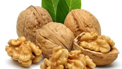 تصویر 2 از قیمت گردو درجه یک + خرید باور نکردنی
